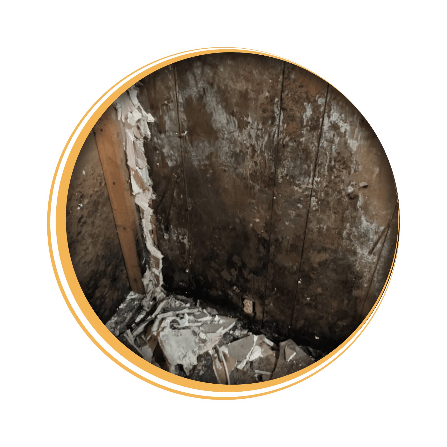 Mold